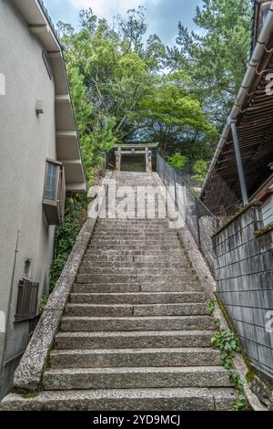 Hiroshima, Japan - 20. August 2024 : 100 Stufen Steintreppen und Tori-Tor am Imaise Jinja shinto-Schrein. Das Hotel befindet sich in Miyajima. Stockfoto