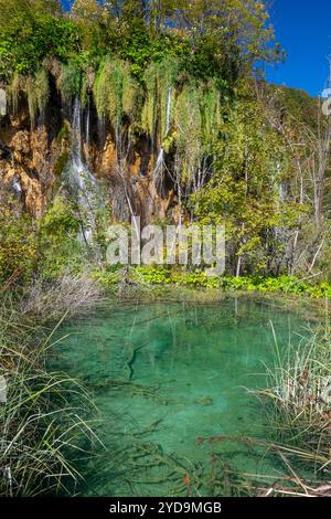 Blick auf die türkisfarbenen Seen in Plitivice mit lebendigem und farbenfrohem Herbstlaub Stockfoto