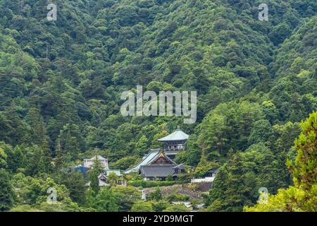 Hiroshima, Japan - 20. August 2024 : Miyajima-Inselgebirge um den Diasouin-Tempel. Stockfoto