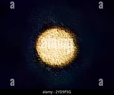 Koloriertes Transmissionselektronenmikroskop eines Hepatitis-C-Virions. Hepatitis C 016867 056 Stockfoto