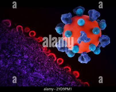 Layout mit farbigem 3D-Druck eines HIV-Virus-Partikels rot mit blauen Oberflächenproteinen und einem Hintergrundbild, das eine farbige Transmissions-Elektronenmikrographie von HIV-Virus-Partikeln ist, die rot aus einer H9 T-Zelle lila wachsen und replizieren. HIV-Virus 016867 096 Stockfoto