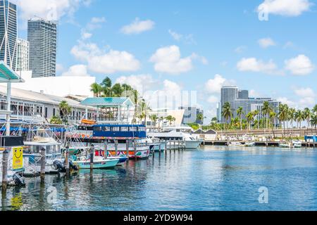 Blick auf die Marina in Miami Bayside mit modernen Gebäuden und Skyline im Hintergrund Stockfoto