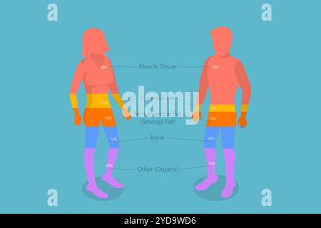 3D Isometric Flat Conceptual Illustration of Composition of the Human Body, Educational Diagram 3D Isometric Flat Conceptual I Stockfoto