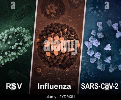 Kreative Arbeit mit 3D-Darstellungen von drei gefährlichen respiratorischen Viren: RSV links, Influenza Center und SARS-CoV-2 rechts. RSV, Influenza und SARS-CoV-2 016867 471 Stockfoto