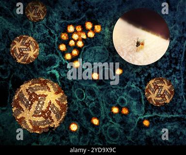 Kunstwerk mit Biss durch eine Culex-Mücke, die West Nil Virus 3D Cryo-EM übertragen kann. Rekonstruktionen des West-Nil-Virus und ein Transmissions-Elektronenmikroskop von West-Nil-Viruspartikeln, die sich im Zytoplasma eines infizierten VERO-E6-Zell-Teal replizieren. West Nil Virus 016867 497 Stockfoto