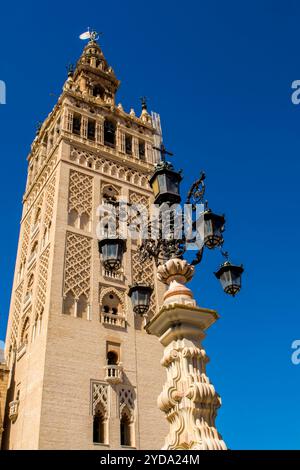 Glockenturm der Kathedrale von Sevilla (Kathedrale von Sevilla), UNESCO-Weltkulturerbe, Sevilla, Andalusien, Spanien. Stockfoto