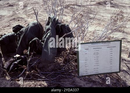 Fort Irwin, CA. USA. Mai 1991. Das Fort Irwin National Training Center (Fort Irwin NTC) ist ein wichtiges Trainingsgebiet für das US-Militär in der Mojave-Wüste im Norden des San Bernardino County, Kalifornien. Fort Irwin liegt auf einer durchschnittlichen Höhe von 2.454 ft (748 m) und liegt 37 mi (60 km) nordöstlich von Barstow in den Calico Mountains. Das National Training Center ist Teil des US Army Forces Command (FORSCOM). Die gegnerische Streitmacht im National Training Center ist das 11. Gepanzerte Kavallerie-Regiment, die Blackhorse Cavalry, die auf der Basis stationiert sind, um eine gegnerische Streitmacht zu bilden Stockfoto