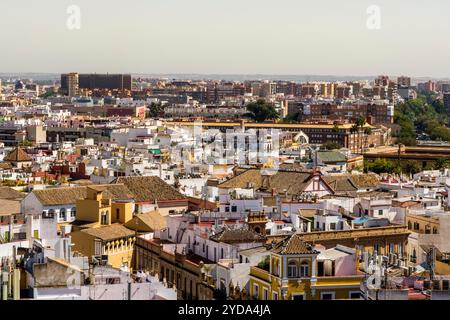 Panoramablick auf Sevilla von der Kathedrale von Sevilla, Sevilla, Andalusien, Spanien. Stockfoto