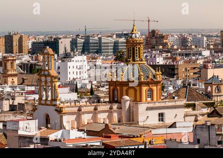 Panoramablick auf die Iglesia de Santa Cruz (Kirche Santa Cruz) von der Kathedrale von Sevilla Sevilla, Andalusien, Spanien. Stockfoto