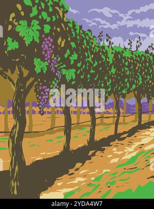 Weinrebe in den Weinbergen der Weinregion Sonoma Valley Northern Cal Stockfoto