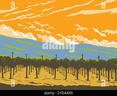 Weinrebe in Weinbergen der Napa Valley Wine Region Kalifornien WPA Stockfoto
