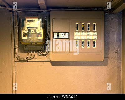 Die Installation eines elektrischen Zählers und einer Verteilertafel ist für eine sichere Elektroverwaltung von entscheidender Bedeutung Stockfoto