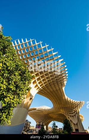 Pilzförmiges Metropol Parasol (Las Setas) Dach des Mercado de la Encarnacion (Encarnacion Markt), Sevilla, Andalusien, Spanien. Stockfoto