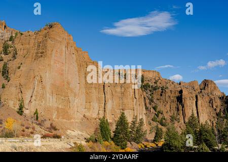 Sehen Sie sich die hohen Klippen an, die den Scenic Byway 14-16-20 im Shoshone National Forest in der Nähe von Cody, Wyoming, säumen. Sehen Sie den blauen Himmel oben und die Kiefern unten. Stockfoto