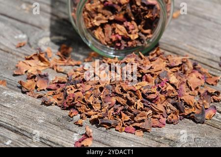 Rosa, getrocknete Blumen Stockfoto