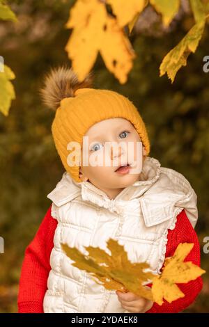 Ein kleines Kind mit gelbem Hut und Weste genießt einen schönen Herbsttag und hält neugierig einen Haufen orangener Blätter in einer bunten Waldkulisse. Stockfoto