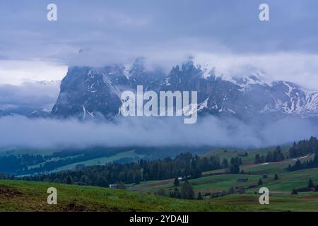 Panoramablick auf die Langkofelgruppe von der Seiser Alm in den Dolomiten in Südtirol, Italien. Stockfoto