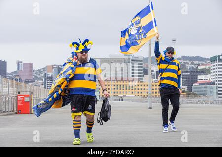 Wellington, Neuseeland, 26. Oktober 2024. Die Fans der Bay of Plenty unterstützen ihr Team vor dem Bunnings Warehouse NPC Finale zwischen den Wellington Lion's und Bay of Plenty im Sky Stadium in Wellington, Neuseeland. Quelle: James Foy/Alamy Live News Stockfoto