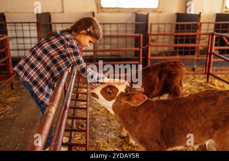 Ein kleines Mädchen in lässiger Kleidung streichelt ein Kalb. Ein niedliches Kind kümmert sich um Haustiere auf einer Farm auf dem Land. Ein lächelndes Kind in A Stockfoto