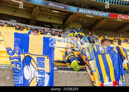 Wellington, Neuseeland, 26. Oktober 2024. Fans der Bay of Plenty posieren für ein Foto vor dem Bunnings Warehouse NPC Finale zwischen den Wellington Lion's und Bay of Plenty im Sky Stadium in Wellington, Neuseeland. Quelle: James Foy/Alamy Live News Stockfoto