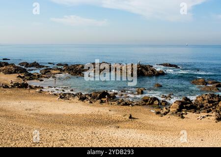 Praia de Castelo do Queijo (Käsestrand) in der Nähe von Saint Francis Xavier Fort (Castelo do Queijo, Porto, Portugal. Stockfoto