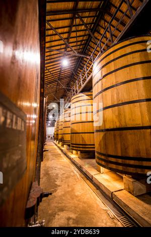 Eichenfässer und Fässer das Weingut und die Weinkeller von Real Companhia Velha, Gaia, Porto, Portugal. Stockfoto