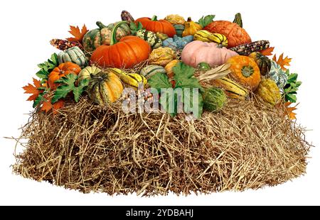 Erntedankfest als Herbstprodukt auf weißem Hintergrund als rustikales traditionelles Symbol für die Landwirtschaft im Herbst wie Kürbisse, Mais und Stockfoto