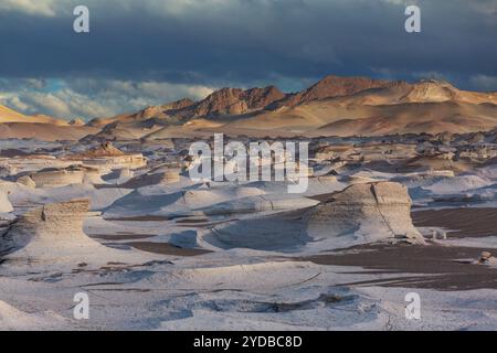 Der Campo de Piedra Pomez ist ein riesiges Feld aus vulkanischem Gestein und Sanddünen im Herzen der Provinz Catamarca, Argentinien Stockfoto