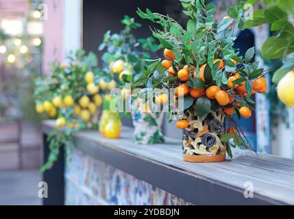 Zweig mit Zitronen, Mandarinen in Keramikvase auf dem Tisch. Traditionelles Muster, Sizilien, Italien. Obst und Einrichtung. Stockfoto