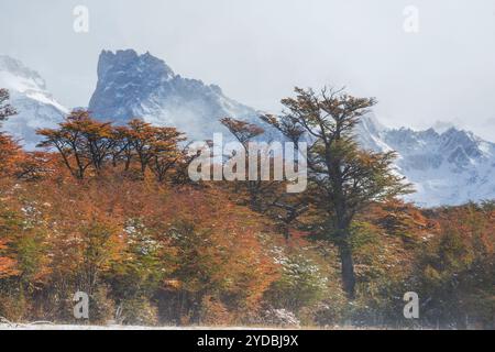 Herbst in Bergen Stockfoto