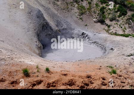 Mudpot, genannt Mud Volcano, im Yellowstone-Nationalpark Stockfoto