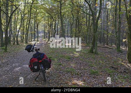 Waldweg mit Fahrrädern, umgeben von Herbstbäumen und natürlicher Ruhe, Nationalpark Mecklenburg-Vorpommern, Deutschland, Europa Stockfoto