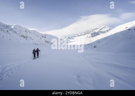 Zwei Skitouren im Neuschnee, schneebedeckter Berggipfel Monte Cevedale im Hintergrund, winterliche Berglandschaft, Ortler Alpen, Vinschga Stockfoto