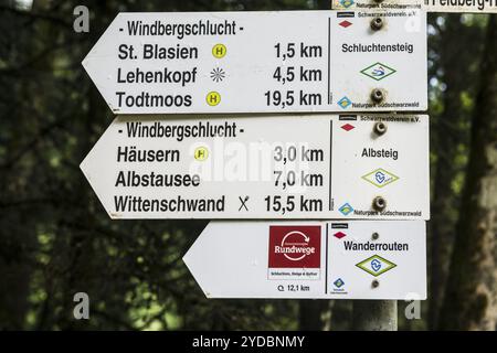 Wanderwegsschild Schluchtensteig, Albsteig, bei Dachsberg, Hotzenwald, Südschwarzwald, Schwarzwald, Baden-Württemberg, Deutschland, Europa Stockfoto