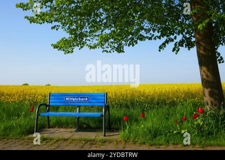 Sitzbank in Holstein Schweiz, Deutschland Stockfoto