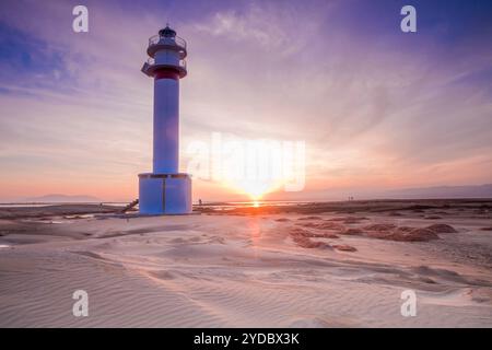 Punta del Fangar, Naturpark Delta de l'Ebre, Tarragona, Spanien Stockfoto