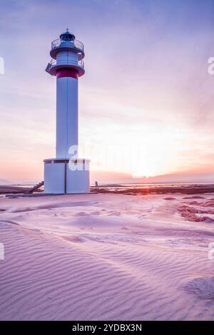 Punta del Fangar, Naturpark Delta de l'Ebre, Tarragona, Spanien Stockfoto