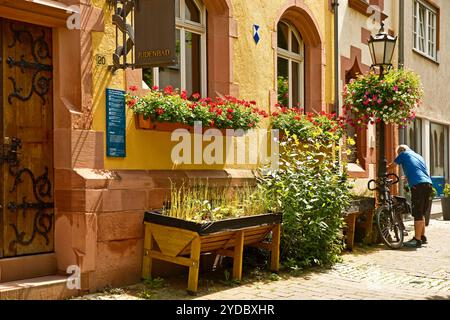 Judenbad, historische Mikwe, Fassade mit Blumen geschmueckt, Judengasse, Judenviertel, Altstadt, Friedberg, Wetterau, Hessen, Deutschland, Europa Stockfoto