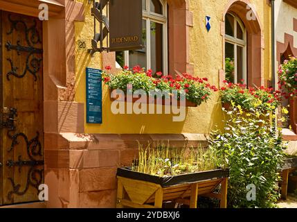 Judenbad, historische Mikwe, Fassade mit Blumen geschmueckt, Judengasse, Judenviertel, Altstadt, Friedberg, Wetterau, Hessen, Deutschland, Europa Stockfoto