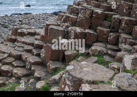 Nahaufnahme von sechseckigen Basaltsäulen am Giant's Causeway, Irland. Die natürlichen geometrischen Formen bilden ein markantes, kompliziertes Muster mit kontrastierenden Farben Stockfoto