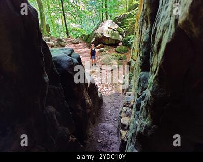 Blick aus einer Spalte auf dem Teufelswanderweg 8, Naturpark Suedeifel, Irrel, Eifel, Deutschland Stockfoto