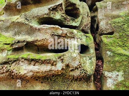 Bizarr verwitterter Sandstein, Detail, Müllerthal Trail, Müllerthal Region, Luxemburg, Europa Stockfoto