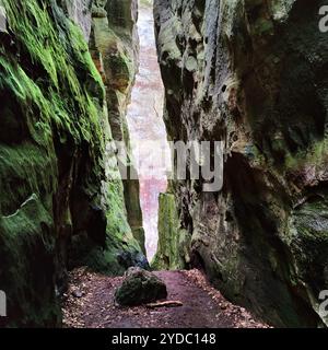 Schmale Felsschlucht, Müllerthal Trail, Little Luxembourg Schweiz, Luxemburg, Europa Stockfoto