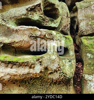 Bizarr verwitterter Sandstein, Detail, Müllerthal Trail, Müllerthal Region, Luxemburg, Europa Stockfoto