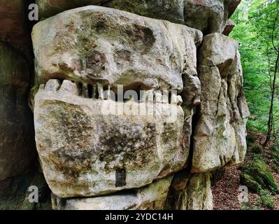 Bizarr verwitterter Sandstein, Detail, Müllerthal Trail, Müllerthal Region, Luxemburg, Europa Stockfoto