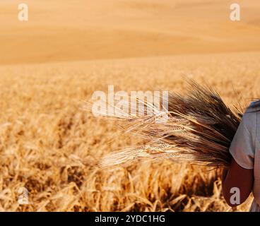 Frau in weißem Kleid steht auf dem Feld mit Weizen Stockfoto