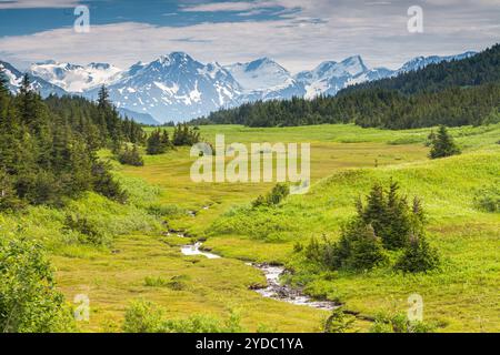 Blick vom Seward Highway, Alaska, USA Stockfoto