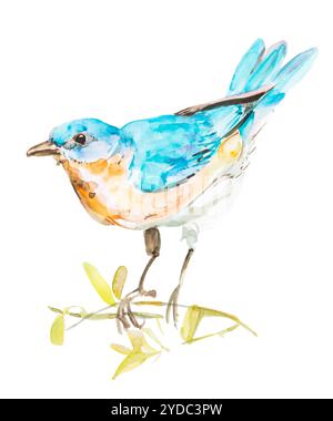 Kleine blaue Vogel, Aquarell Hand malen auf isoliert weißer Hintergrund Stockfoto