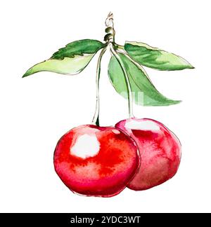 Hand Aquarellmalerei cherry auf weißem Hintergrund Stockfoto