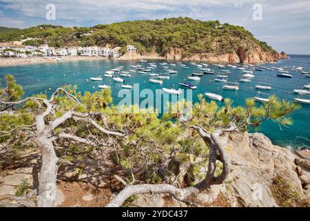 Tamariu, Costa Brava, Girona, Spanien Stockfoto